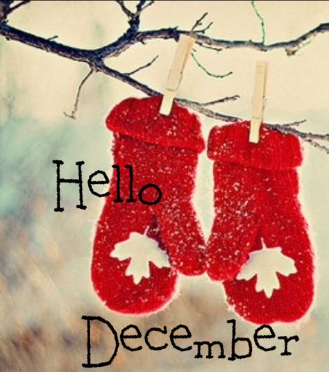 December Images, Canadian Christmas, Neuer Monat, Welcome December, Christmas Loading, Hello December, Winter Love, Winter Wonder, Winter Olympics