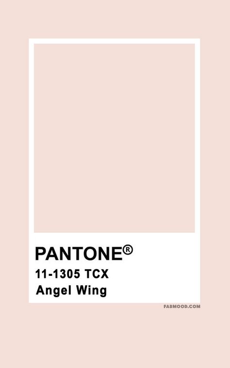 Pantone Color Palette, Wedding Colour Palettes, Fab Mood, Mood Wedding, Classic Blue Pantone, Pantone Color Chart, Pantone Palette, Themes Wedding, Pantone Colour Palettes