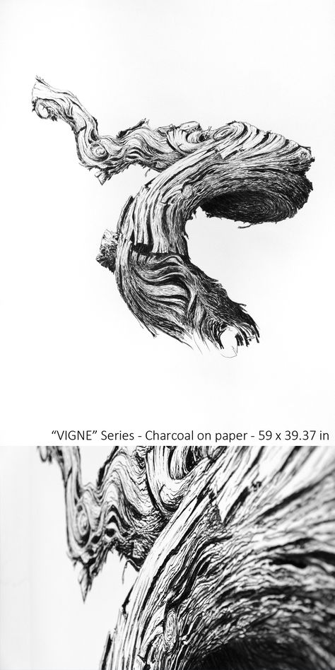 Root Drawing, Beak Drawing, Vines Drawing, Vine Illustration, Twig Drawing, Vine Tree, Branch Drawing, Vine Charcoal, Vine Drawing