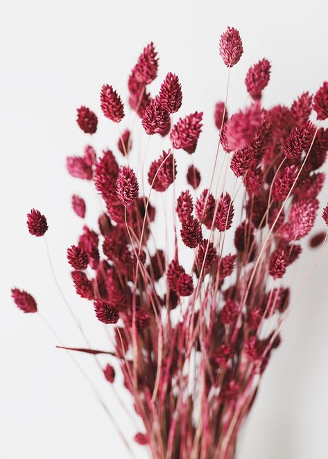 Minimal Ideas, Country Wedding Bouquets, Art Floral Japonais, Holiday Flowers, Flowers Dried, Burgundy Flowers, Dried Floral, Dried Flower Arrangements, Fake Plants