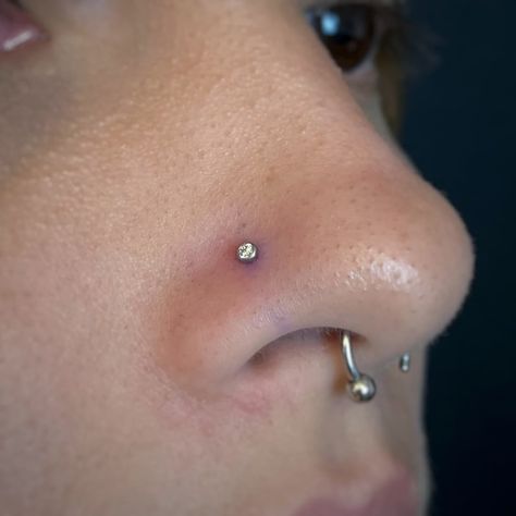 Inspirações de aba nasal✨ 
Sem sombras de dúvidas essa é a perfuração mais pedida por aqui! 

Me conta nos comentários, qual você escolheria?
.
.
.
#piercingguarapari #piercer #piercing #piercingvilavelha #piercingtitanio #bodypiercer #bodypiercerguarapari #guaraparibeach