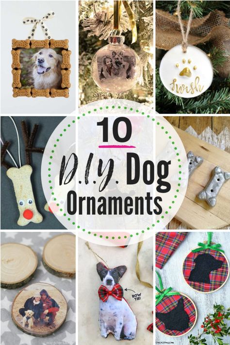 10 DIY dog ornaments for the pet lover, dog mom or dog dad in your life! Check out these 10 easy DIY ornament crafts for pets. #dog #ornament #christmas #dogornamentideas #dogornaments #DIYchristmasornaments #petornament #DIYdogornaments #DIYdogcrafts Diy Dog Crafts Decor, Dog Hair Christmas Ornaments, Homemade Pet Ornaments, Diy Pet Christmas Gifts, Dog And Cat Christmas Ornaments Diy, Diy Dog Paw Ornament, Diy Pet Ornaments Xmas, Puppy Christmas Ornaments Diy, Cute Dog Christmas Ornaments