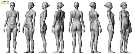 Body scan http://www.3dscanstore.com/index.php/default/ Human Anatomy Reference, 3d Anatomy, Female Anatomy Reference, Anatomy Models, Human Body Anatomy, Body Drawing Tutorial, Female Reference, Anatomy Poses, Body Reference Drawing