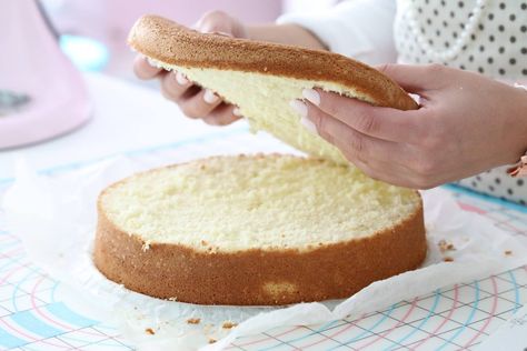 HI SWEET READERS ♥   This is the recipe for a typical Norwegian sponge cake, that you can fill with anything you love; In Norway, we fill this cake often with, raspberry jam, homemade vanilla cream, and a light not-over-the-top too sweet whipped cream, and layers filled with fresh fruit, like strawberries, raspberries, and bananas. Sweet Whipped Cream, Vanilla Sponge Cake, Baking Basics, Sponge Cake Recipes, Vanilla Cake Recipe, Vanilla Sponge, Homemade Vanilla, Round Cake Pans, Pumpkin Cake