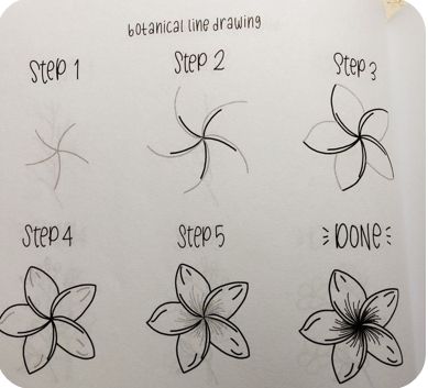 #notmine #drawing #stepbystepdrawing #flowers Stick Flowers Drawing, Hibiscus Flower Drawing Tutorials, Plumeria Drawing Step By Step, Simple Drawing Tutorial Step By Step, Easy Drawings Sketches Flowers, Easy Drawings Sketches Step By Step, Draw A Flower Step By Step, How To Draw Roses Step By Step, Rose Drawing Simple Step By Step