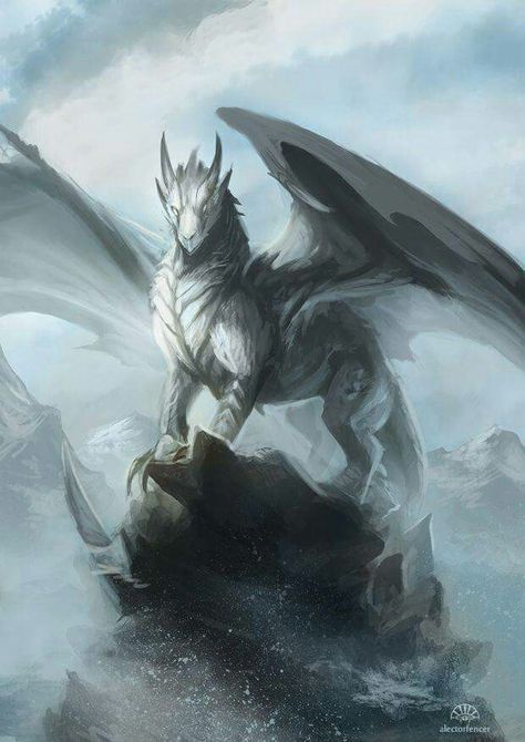 Silver Dragon White Dragon, A Dragon, Digital Painting, The Back, Deviantart, White