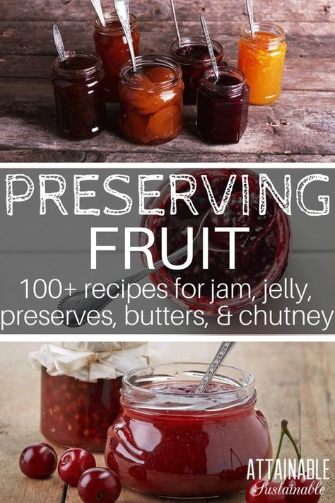 How To Make Fruit Preserves, Diy Fruit Preserves, Making Jelly Homemade, Canned Jams And Jellies, Making Preserves, Canning Jelly, Jam Preserves, Homestead Pantry, Preserving Fruit