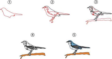 #cooldrawing #cooldrawingideas #cooldrawingidea #cooldrawingeasy #easydrawingforkids #drawingforkids #kidsdrawing #drawing #draw #cutemokingbirddrawing #easydrawing #stepbystepdrawing #kidsmockingbirddrawing #drawingideas #drawingideaseasy Mockingbird Drawing, To Kill A Mockingbird Drawing, Mockingbird Drawing Easy, To Kill A Mockingbird Illustration, Mincing Mockingbird, Northern Mockingbird, Cool Drawing, Drawing Step By Step, Bird Drawing