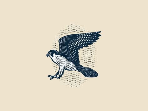 Peregrine Falcon Tattoo Traditional, Peregrine Falcon Illustration, Falcon Tattoo Design, Falcon Symbol, Falcon Sketch, Falcon Illustration, Hawk Illustration, Bird Of Prey Tattoo, Peter Voth