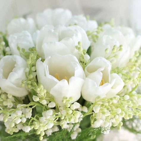 Seasons Glamour on Instagram: "Lily of the valley and tulip  bridal bouquet  #seasonsglamoursg #whitetulip #lilyofthevalley #weddingflower #sgflorist #weddingdecorations" Tulip Bridal Bouquet, White Tulips, Lily Of The Valley, The Valley, Bridal Bouquet, Tulips, Wedding Flowers, Wedding Decorations, Lily