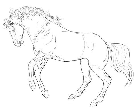 Horse Line Art, Horse Coloring Books, Horse Rearing, Rearing Horse, Painting Fabric, Free Horses, Horse Coloring Pages, Horse Artwork, Art Horse