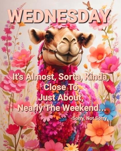 Ugh Monday Humor, Wednesday Humor Funny Hilarious, Wednesday Funny Quotes, Wednesday Funny, Wednesday Sayings, Funny Wednesday, Hump Day Humor, Wednesday Humor, Happy Day Quotes