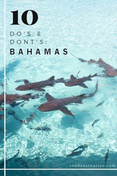 Where To Stay In Nassau Bahamas, Outfit Ideas For Bahamas, Cruise Bahamas Outfits, Bimini Bahamas Outfits, Nassau Bahamas Outfit, Bahama Outfits Ideas, Outfits For The Bahamas, Sailing Bahamas, Bahamas Cruise Outfits