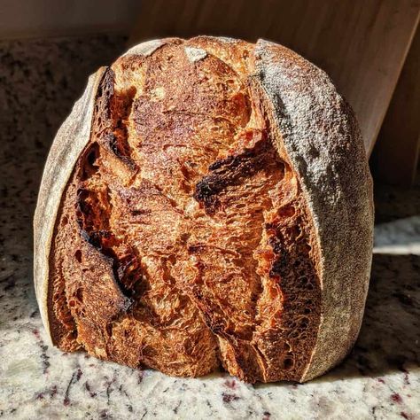 Whole Meal Sourdough Bread, Sourdough Bread Whole Wheat, Sourdough Discard Whole Wheat Bread, Whole Wheat Sour Dough Bread Recipe, Grant Bakes Sourdough, Wholemeal Sourdough Bread Recipe, 100% Hydration Sourdough Bread, Wholewheat Sourdough Bread Recipe, 100% Whole Wheat Sourdough Bread