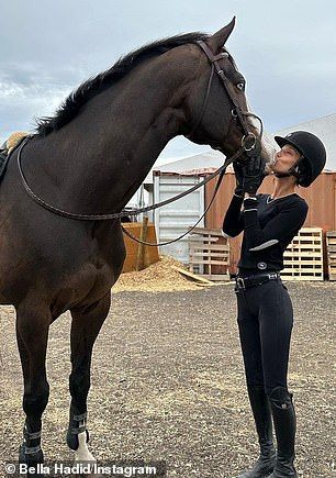 Horseback Riding Aesthetic, Aesthetic Equestrian, Horse Girl Aesthetic, Horse Riding Aesthetic, Horsey Life, Horseback Riding Outfits, Horse Riding Outfit, Equestrian Aesthetic, Equestrian Chic