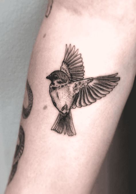 House Sparrow Tattoo Design Images (House Sparrow Ink Design Ideas) House Sparrow Tattoo, Sparrow Tattoo Meaning, Sparrow Bird Tattoo, Sparrow Tattoo Ideas, Small Sparrow Tattoos, Tattoo Sparrow, Tat Sleeve, Sparrow Tattoos, Songbird Tattoo