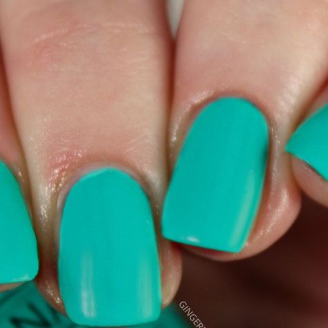 Opi Im Yacht Leaving, Teal Shades, I Did My Best, Opi Nails, Nail Color, Color Correction, Summer 2023, A Rainbow, Color Ideas