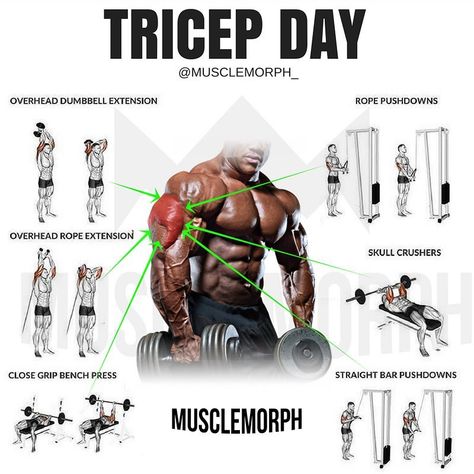 5,704 Likes, 19 Comments - MuscleMorph® (@musclemorph_) on Instagram: “Is your chest lagging? Try this workout SAVE it so you can use it at the gymLIKE and FOLLOW…” Tricep Workout, Latihan Kardio, Fitness Routines, Muscle Building Workouts, Weight Training Workouts, Trening Fitness, Gym Routine, Workout Chart, Triceps Workout