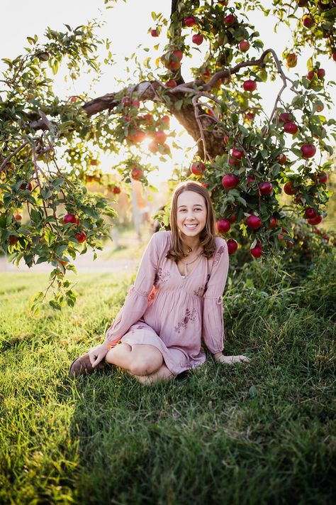 Apple Orchard Photography, Apple Orchard Pictures, Apple Picking Photos, Pumpkin Patch Photoshoot, Senior Photography Inspiration, Miniature Horses, Farm Photography, Apple Trees, Engagement Photos Fall