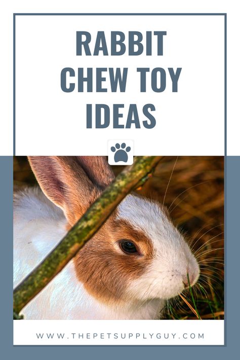 Best Rabbit Chew Toys (Buying Guide) #thepetsupplyguy #pet #pets #animal #rabbit #rabbits #bunny #bunnies Dog Supplies Organization, Rabbit Chew Toys, Kitten Treats, Cat Diet, Animal Rabbit, Kitten Food, Rabbit Toys, Pet Rabbit, The Toys