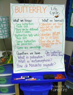 Butterfly life cycle KWL anchor chart used after reading Butterflies by Gail Gibbons. Butterfly Math Activities, Math And Science Activities, Butterfly Lessons, Gail Gibbons, Transition Ideas, Insect Unit, Kwl Chart, Classroom Anchor Charts, Math And Science