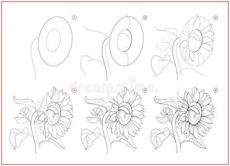 Page shows how to learn to draw sketch of sunflower. Creation step by step pencil drawing. Educational page for artists. Textbook. For developing artistic vector illustration Flower Sketch Pencil, Floral Tutorials, Cute Easy Animal Drawings, Beginner Drawing Lessons, Easy Animal Drawings, Pencil Drawings For Beginners, Sunflower Drawing, Draw Flowers, Radha Painting