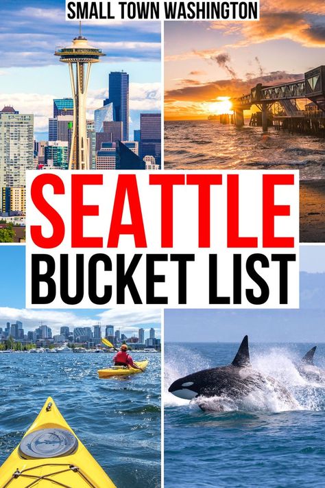 Seattle Whale Watching, Seattle Washington Things To Do Fall, What To Do In Seattle Washington, Seattle Attractions, What To Do In Seattle, Seattle Must Do, Seattle Washington Things To Do, Washington Things To Do, Seattle Travel Guide