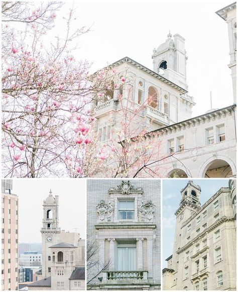 We’re lucky that there’s no shortage of really great Richmond wedding  venues. Here are just a few of my favorite historical wedding venues in  Richmond, VA! Richmond Va Wedding Venues, Historical Wedding Venues, Historical Wedding, Richmond Va Wedding, Va Wedding Venues, The Greenbrier, Richmond Wedding, Virginia Wedding Venues, Historic Wedding