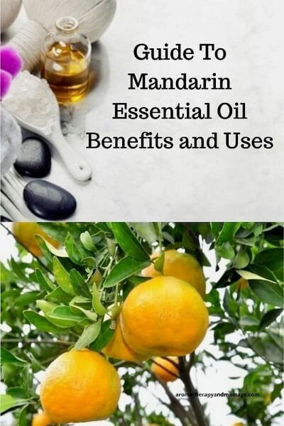 Aromatherapy supplies with the words Guide To Mandarin Essential Oil Benefits and Uses and photo of mandarins on tree. Cassia Essential Oil, Summer Essential Oils, Essential Oil Usage, Helichrysum Essential Oil, Mandarin Essential Oil, Tangerine Essential Oil, Cypress Essential Oil, Neroli Essential Oil, Essential Oil Safety