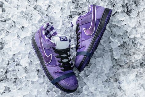 Concepts Nike SB Dunk Low Purple Lobster Purple Lobster, Nike Sb Dunk Low Pro, Boty Nike, Nike Sb Dunk Low, Sb Dunk Low, Nike Sb Dunk, Nike Sb Dunks, Sb Dunk, Nike Sports