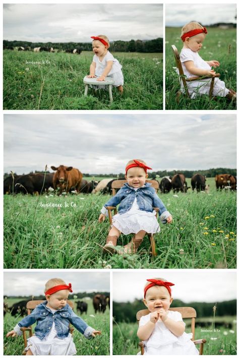 1st Birthday Cow Pictures, Cow Birthday Pictures, First Birthday Cow Pictures, One Year Farm Photoshoot, One Year Old Cowgirl Photoshoot, Country One Year Old Photo Shoot, First Birthday Farm Photoshoot, Farm Birthday Photo Shoot, Farm Theme Photo Shoot