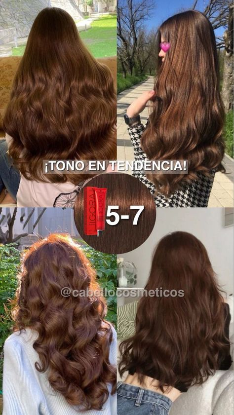 Medium Mahogany Brown Hair, Igora Royal Chocolate Brown, Types Of Brown Hair Color, Latina Brown Hair, Brunette Chocolate Hair, Fall Hair 2024 Trends, Pelo Color Chocolate, Rubio Chocolate, Hair Colors 2024