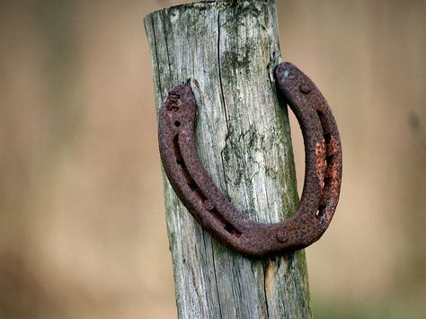 A horseshoe means good luck to horse-loving Shelley. Rusty Junk, Garden Details, Alphabet Photography, Forgotten Places, Mountain Ranch, Desert Living, Fun Pictures, Horse Shoes, Show Me The Way