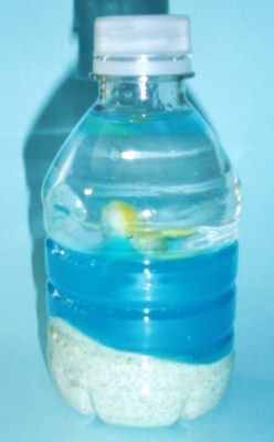 Ocean In The Bottle, Tide Pool In A Bottle Craft, Ocean In A Bottle Craft, Beach In A Bottle Craft, Ocean In A Bottle For Kids, Ocean In A Bottle, Discovery Bottles, Ocean Activities, Rainbow Fish