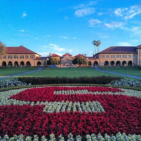 Stanford Law School Aesthetic, Stanford Acceptance, Stanford University Aesthetic, Stanford Aesthetic, Stanford Graduation, Stanford University Campus, Stanford Library, Stanford College, Observational Learning