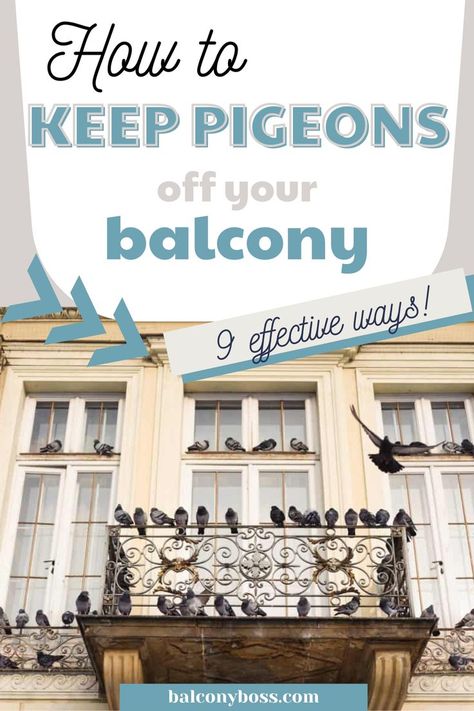 Learn how to keep pigeons off your balcony with these 9 effective tips! This tips to keep your balcony bird free are humane and safe for people and birds alike! Keep your balcony clean and safe by ridding it of pigeons and other birds so you can enjoy your outdoor space. Click through to the blog for all our bird repellent tips! Pigeon Repellent, Get Rid Of Pigeons, Repellent Diy, Condo Balcony, Bird Repellents, Gardening Gear, Bird Free, Balcony Railing, Urban Setting