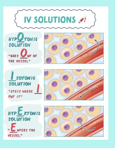 IV Solutions Explained Therapy Cheat Sheet, Gastrointestinal Nursing, Iv Solutions, General Medicine, Nursing Cheat Sheet, Medical Study, Nursing Cheat, Nursing 101, Intravenous Therapy