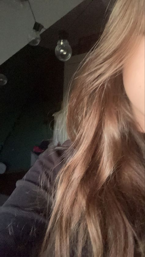 #aesthetic #hair #brown #hairgoals Light Brown Hair Girl Aesthetic, Brown Hair Pics, Light Brown Hair Aesthetic, Brown Hair Selfie, Brown Hair Pictures, Fake St, Creative Snaps, Creative Snaps For Snapchat, Face Female