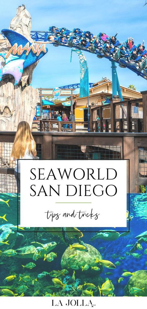 SeaWorld San Diego tips and tricks from a long-time guest for how to save money, maximize time, and visit sanely with kids for an easy day.  Get all the details here at La Jolla Mom Places To See In San Diego, San Diego With Kids, One Day In San Diego, Seaworld San Diego Aesthetic, Weekend In San Diego, San Diego Zoo Tips, San Diego Seaworld, Sea World San Diego, Sea World San Diego Tips