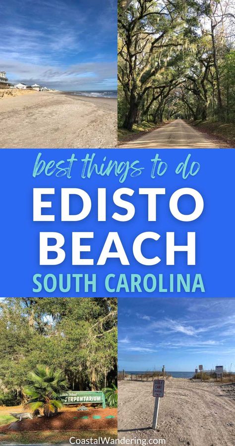 Here are the best things to can do in Edisto Beach and Edisto Island. Edisto Beach is located on a barrier island in South Carolina. It is a quiet place to enjoy the beach, but it has a few surprises. Edisto Beach has been a favorite vacation destination for generations of South Carolina families. This relaxed and quaint coastal community is located within an easy one-hour drive from Charleston or Beaufort and two hours from Hilton Head Island. Edisto Beach Sc Things To Do, Things To Can, Edisto Island South Carolina, Edisto Beach Sc, Beach 2024, American Travel Destinations, South Carolina Vacation, Edisto Beach, Edisto Island