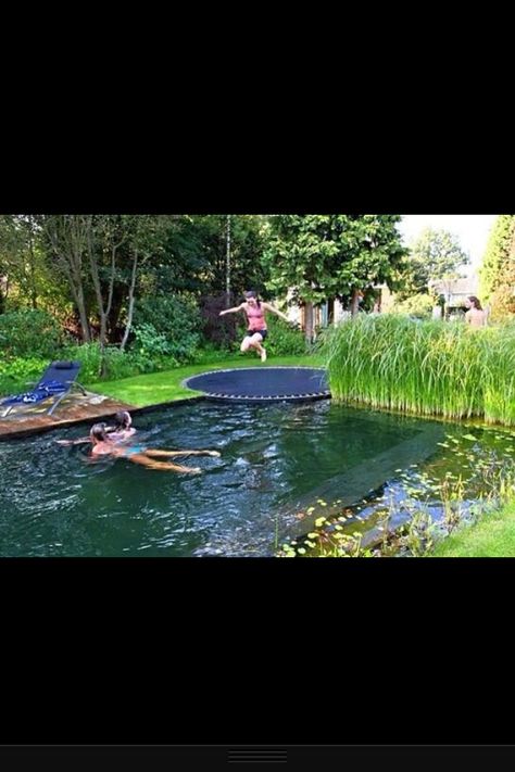 Pool trampoline Trampoline Pool, Country Pool, Backyard Trampoline, Diving Board, Take My Money, Natural Pool, Totally Awesome, My Money, Dream Backyard