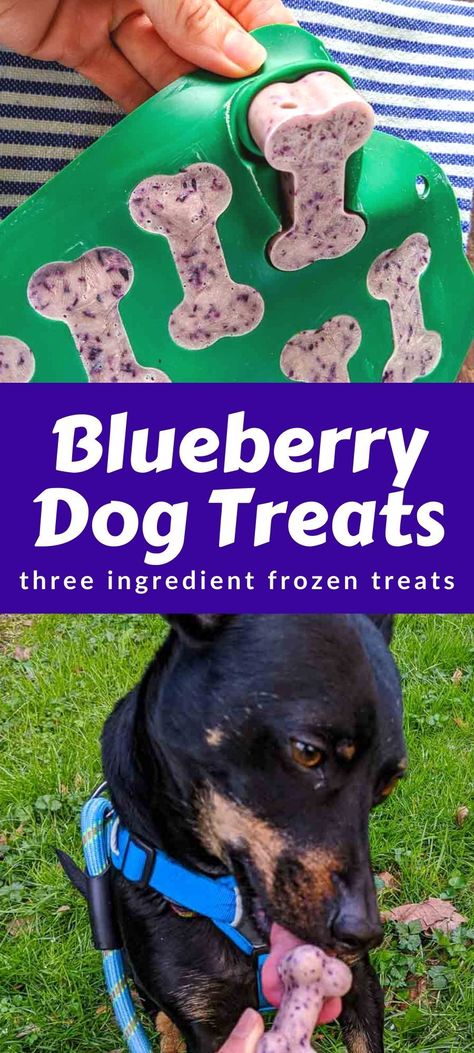 Diy Frozen Dog Treats Ice Cubes, Puppy Ice Cube Treats, Ice Cube Dog Treats, Frozen Dog Treats Homemade Ice Cube Trays, Dog Treat Molds, Healthy Frozen Treats For Dogs, Diy Dog Bones Recipes, Frozen Dog Treat Molds, Blueberry Treats For Dogs