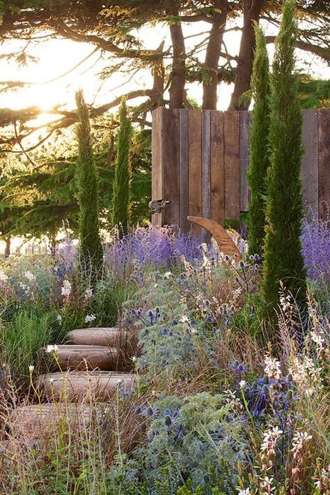 Mediterranean Landscape Design, Mediterranean Garden Design, Provence Garden, Tuscan Garden, Mediterranean Plants, Mediterranean Landscaping, Dry Garden, Gravel Garden, Italian Garden