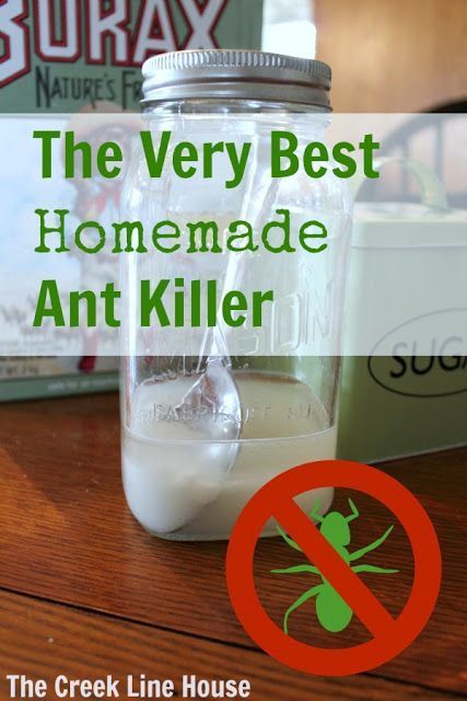 The best homemade DIY ant killer that gets rid of ants for good! Swiffer Covers, Ant Killer Recipe, Homemade Ant Killer, Rid Of Ants, Get Rid Of Ants, Ant Killer, Diy Cleaners, Cleaners Homemade, Diy Household