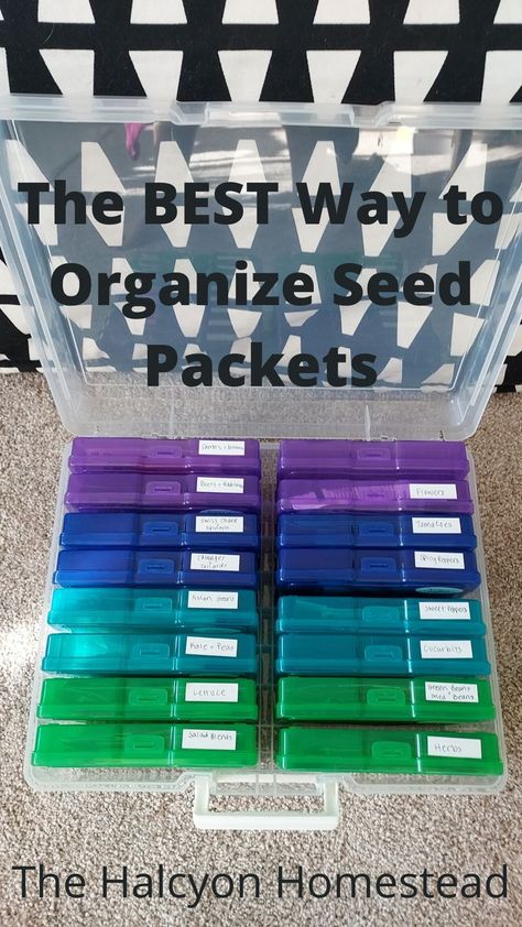 Do you need a better method of organizing and storing your seed packets? So did I! Read on to discover the best way to organize seed packets! Organizing Seed Packets, Organize Seeds, Seed Storage, Seed Bank, Seed Saving, Organizing Ideas, Seed Packets, Pregnancy Photos, Do You Need