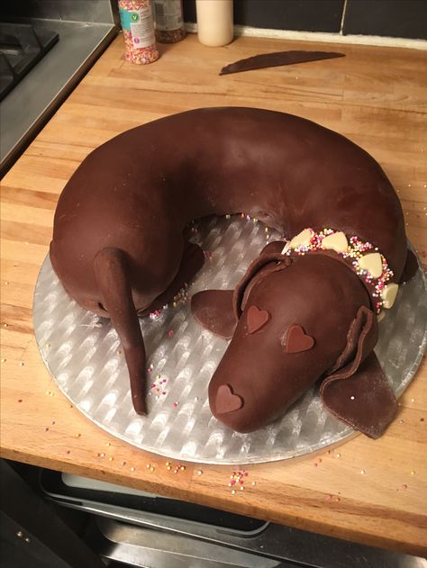 Stefka's sausage dog cake, with chocolate ganache and chocolate fondant icing. Sausage Dog Cake Dachshund, Sausage Dog Cake, Dachshund Cake, Cake With Chocolate Ganache, 7th Birthday Cakes, Mums Birthday, Cupcake Queen, Novelty Birthday Cakes, 50th Cake