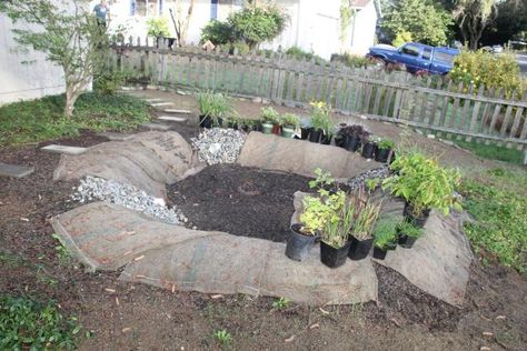 Rain Garden Diy, Rain Garden Ideas, Rain Garden Landscape, Sloped Landscape, Rain Garden Design, Landscape Drainage, Pea Gravel Patio, Rain Gardens, About Rain