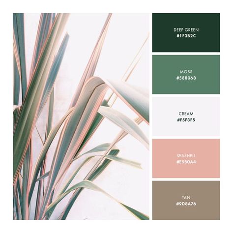 How to create a color palette for your brand (plus five palettes you can steal!) — Samantha Madeo Design Color Schemes Colour Palettes, Brand Color Palette, Green Colour Palette, Color Palate, Bohol, Color Palette Design, Bedroom Colors, Colour Schemes, Color Pallets