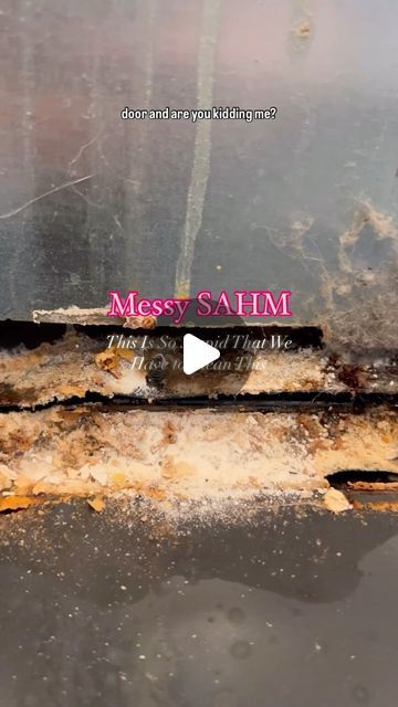 Alana | Messy SAHM on Instagram: "Time to clean the oven door babyyy!! ✨🧼

Comment “🤩” for the link to all the products I used in this video!

Thanks @nottheworstcleaner_ for the inspo!! 💗

#cleaningmotivation #clean #deepcleaning #oven #cleaninghack #cleaningtips #satisfying #satisfyingcleaning 
Deep cleaning the oven" Cleaning Videos Satisfying, Cleaning The Oven, Clean The Oven, Cleaning Videos, Cleaning Motivation, Instagram Time, Cleaning Routine, Cleaning Organizing, The Oven