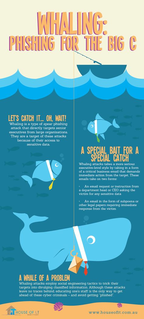 Phishing Poster, Phishing Infographic, Pci Dss, Target Organization, Social Engineering, Infographics Design, Infographic Poster, Marketing Design, Pinterest Board